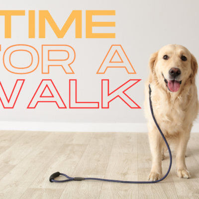 Walking a dog after eating a meal?