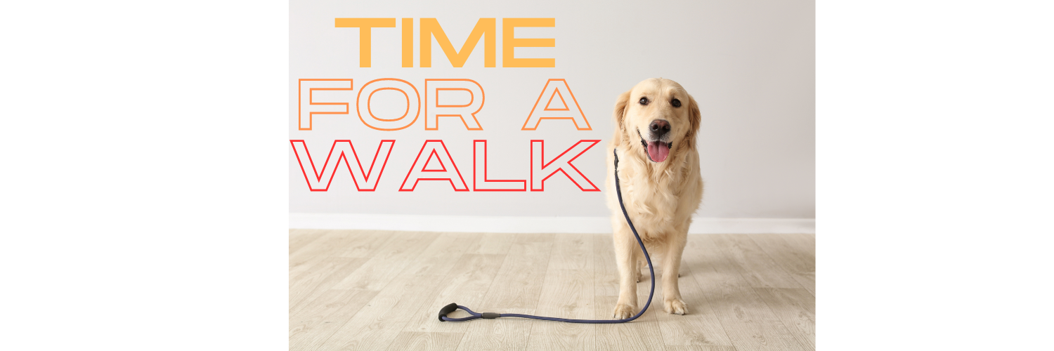 Walking a dog after eating a meal?