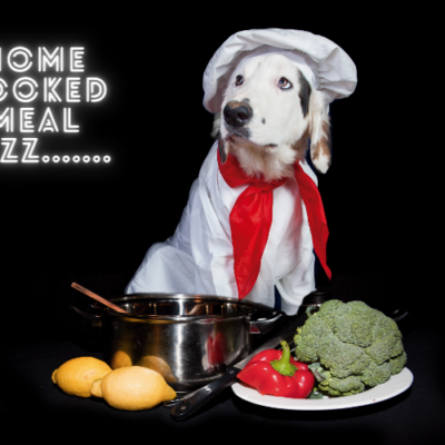 Is home cooked food good for dogs?
