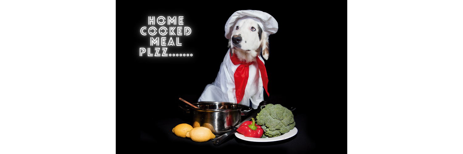 Is home cooked food good for dogs?